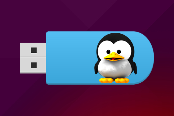 如何设置格式彩色旋转优盘或从 Linux 终端的 USB 内存